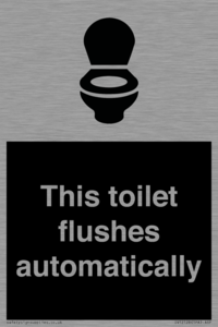 This toilet flushes automatically